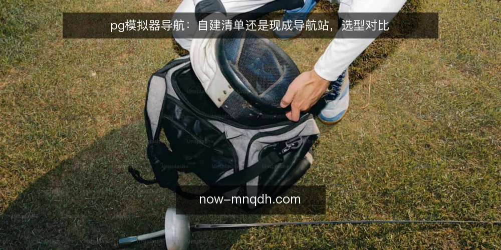 pg模拟器导航：自建清单还是现成导航站，选型对比 — 选型先看三个维度 配图