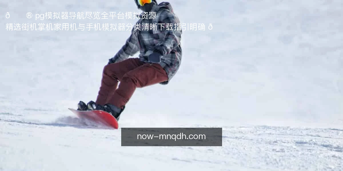 pg模拟器导航